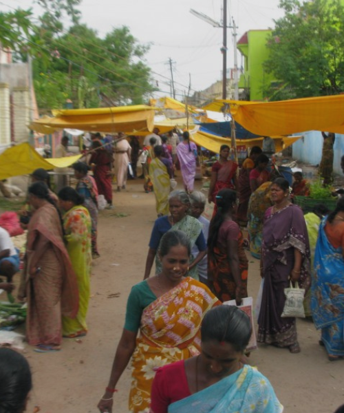 Who Knows How to Govern? Procedural Knowledge in India's Small Town Councils