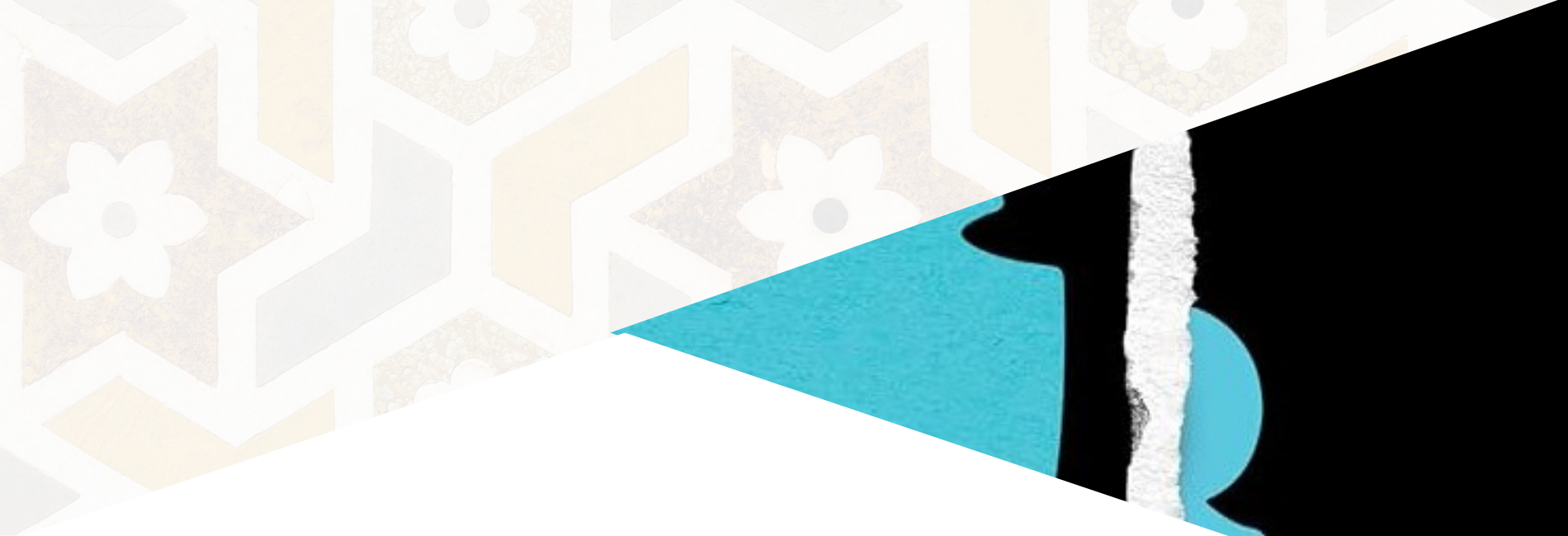 the shady economics banner