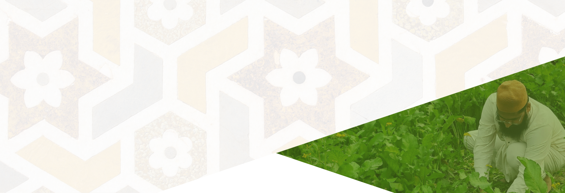 food security banner